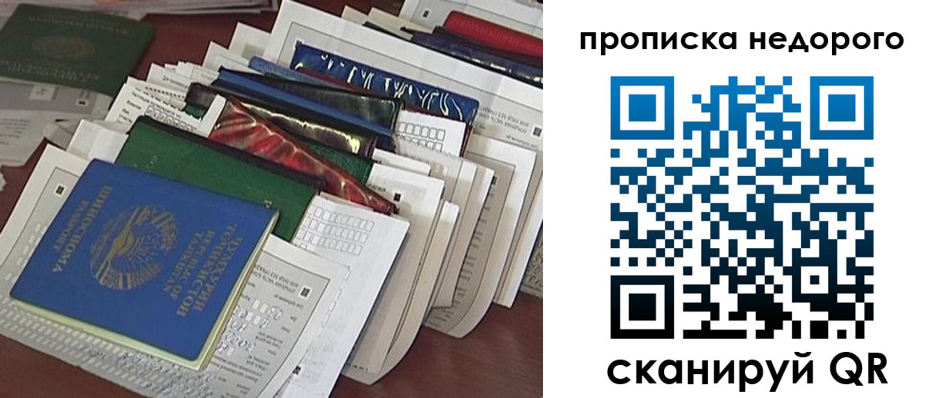 прописка гарантия в Новомосковске